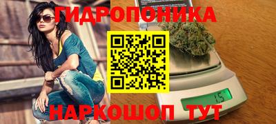 a pvp Пушкино