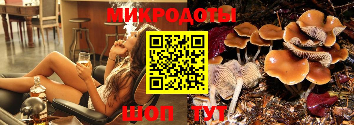 Галлюциногенные грибы MAGIC MUSHROOMS  Вход с VPN  Новозыбков  Псилоцибиновые грибы MAGIC MUSHROOMS 